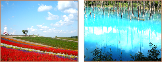 色彩の丘／青い池